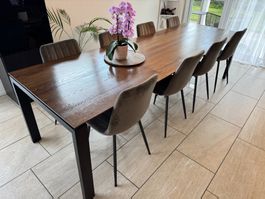 Ausziehbarer Eiche-Metall Tisch 200–290×90×75 cm – rustikal
